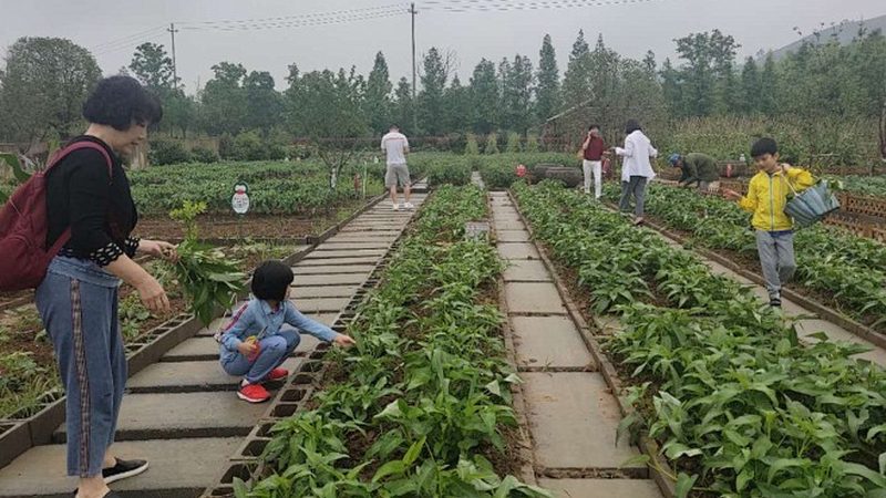 果蔬配送批发市场运费标准解析
