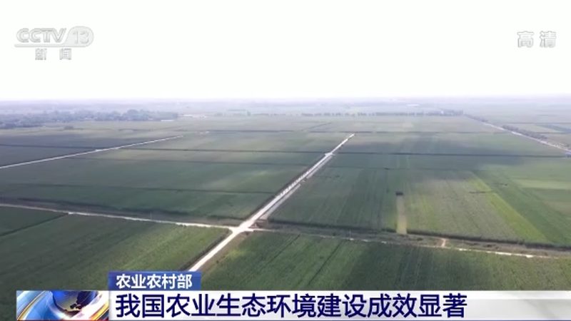 果蔬冷链运输设备：揭秘参数背后的关键因素