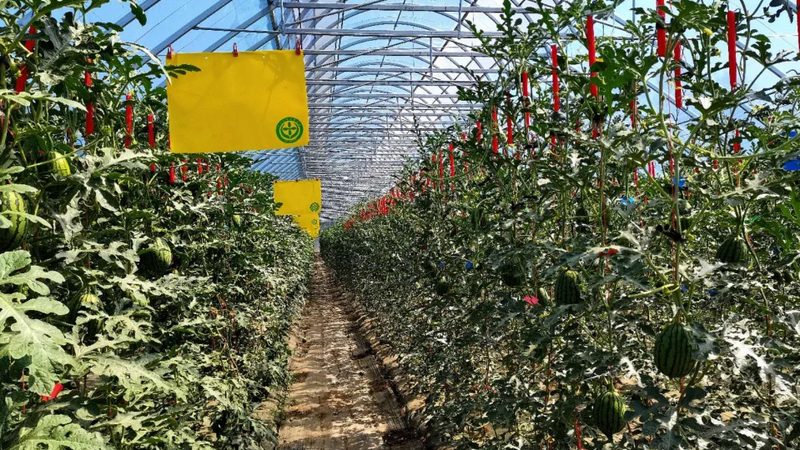 粮食种植资质代办，如何选择专业机构？**