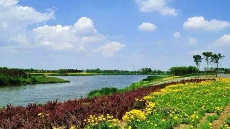 生态农业补贴申请攻略：流程解析与关键要点