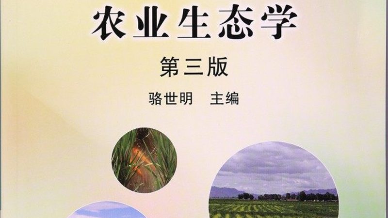 农资采购招标评分，如何把握关键标准？**