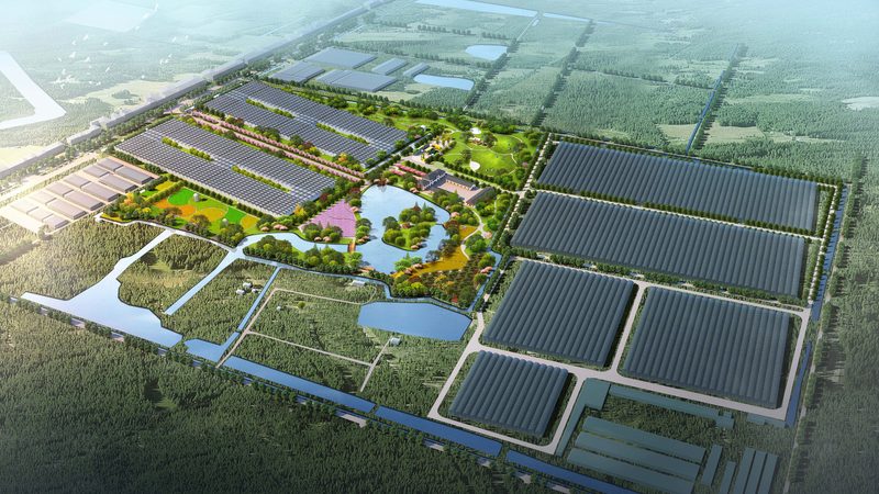 无土农业种植系统：揭秘高效农业的未来趋势