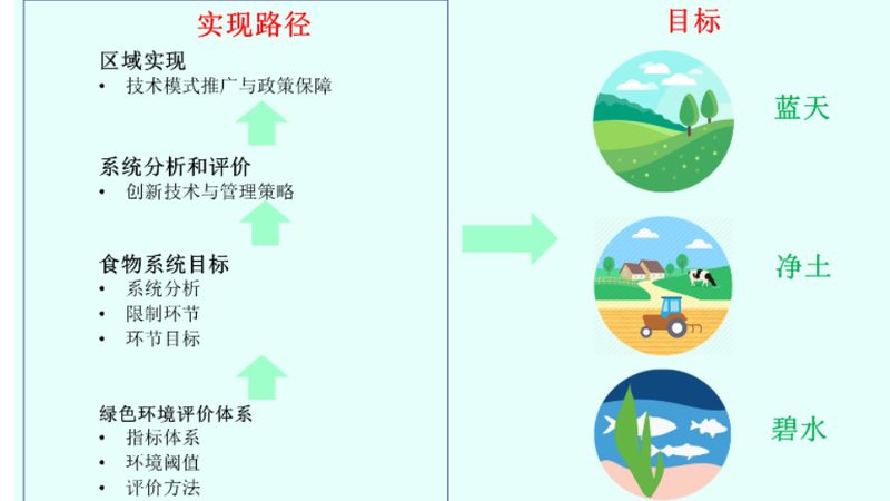 生态农业大棚与传统大棚种植技术的优劣对比