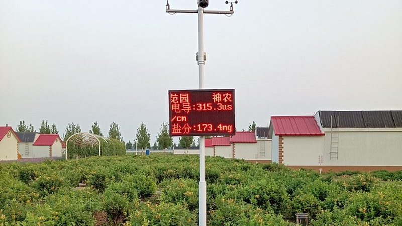 智能温室大棚：农业现代化的关键设施