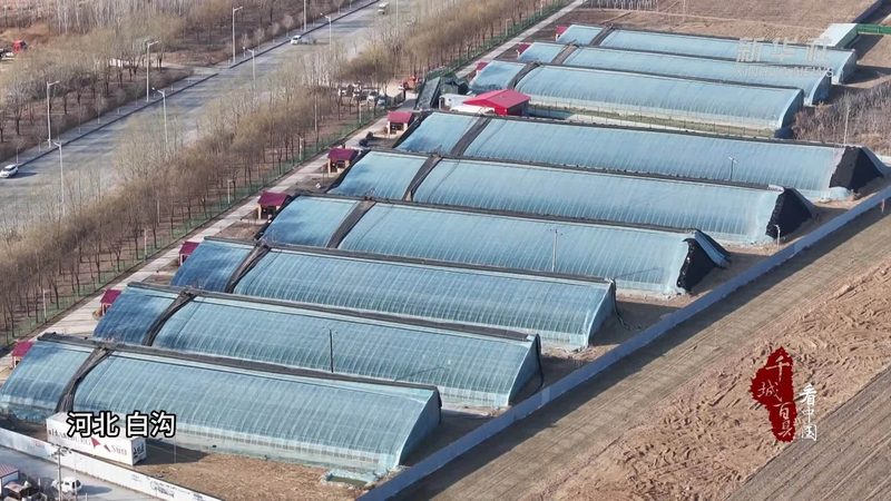 农业产业园加盟费一次性支付：了解加盟背后的经济考量