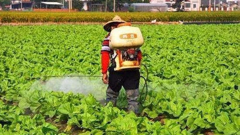 以下是一些适合生态水产养殖的优质品种推荐：