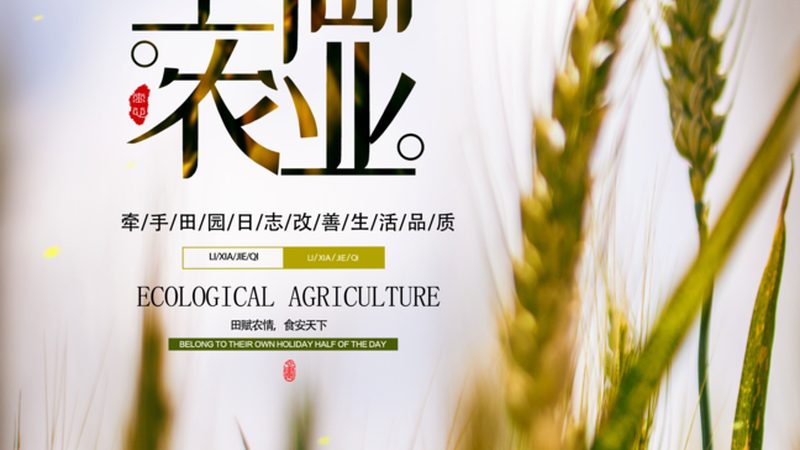 水肥一体化设备：价格背后的价值考量